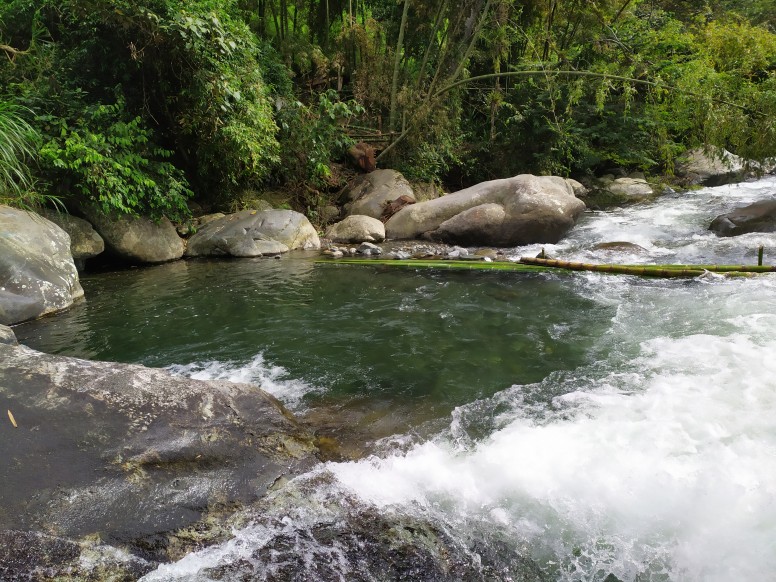 Turismo en Cali y el Valle del Cauca